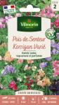 Fleurs - Pois de Senteur Korrigan varié - face recto